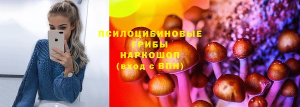 молекула духа Алзамай
