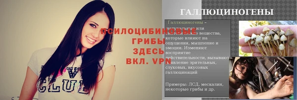 трава Абаза