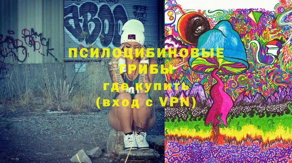 молекула духа Алзамай