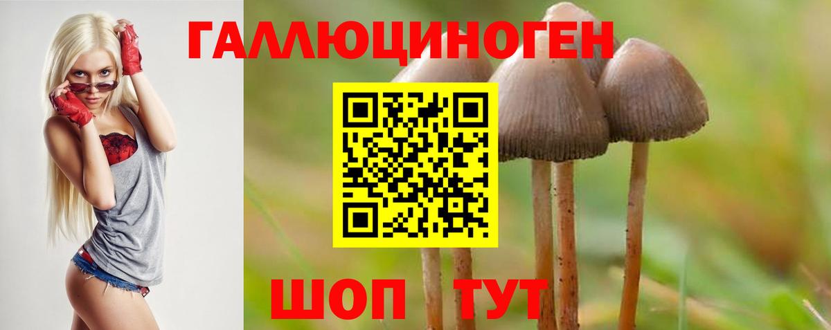 Галлюциногенные грибы Cubensis  Вход с VPN  магазин продажи   Галлюциногенные грибы Magic Shrooms  Ухта 
